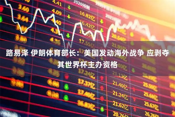 路易泽 伊朗体育部长：美国发动海外战争 应剥夺其世界杯主办资格