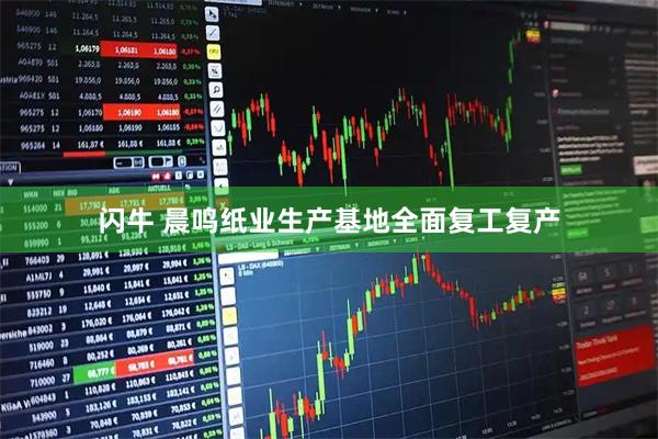 闪牛 晨鸣纸业生产基地全面复工复产