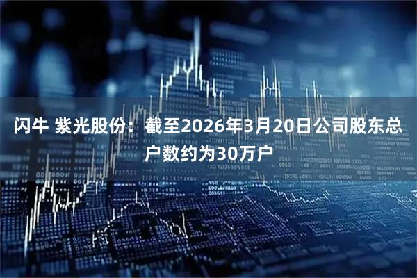闪牛 紫光股份：截至2026年3月20日公司股东总户数约为30万户