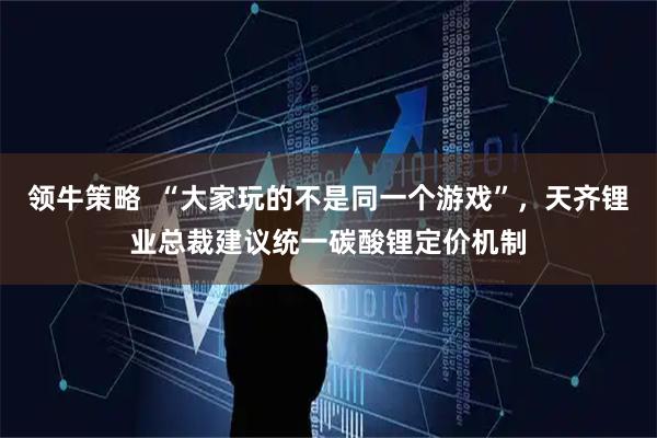 领牛策略  “大家玩的不是同一个游戏”，天齐锂业总裁建议统一碳酸锂定价机制